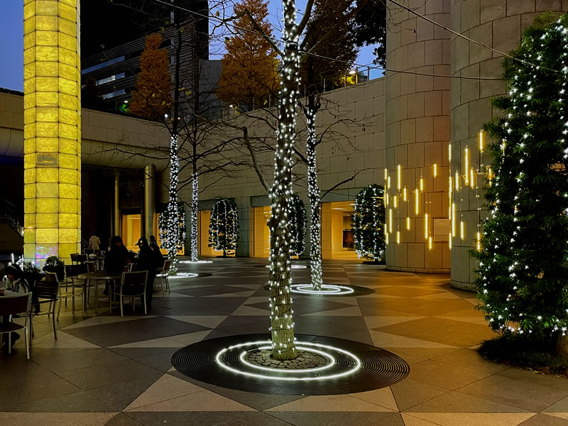 東京都港区東新橋 カレッタ汐留付近の夜景