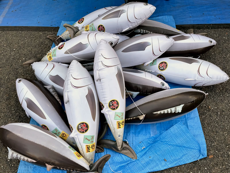 魚ジャパンフェス in 代々木公園 塩化ビニール製「BIG！とれたてエアーマグロ」