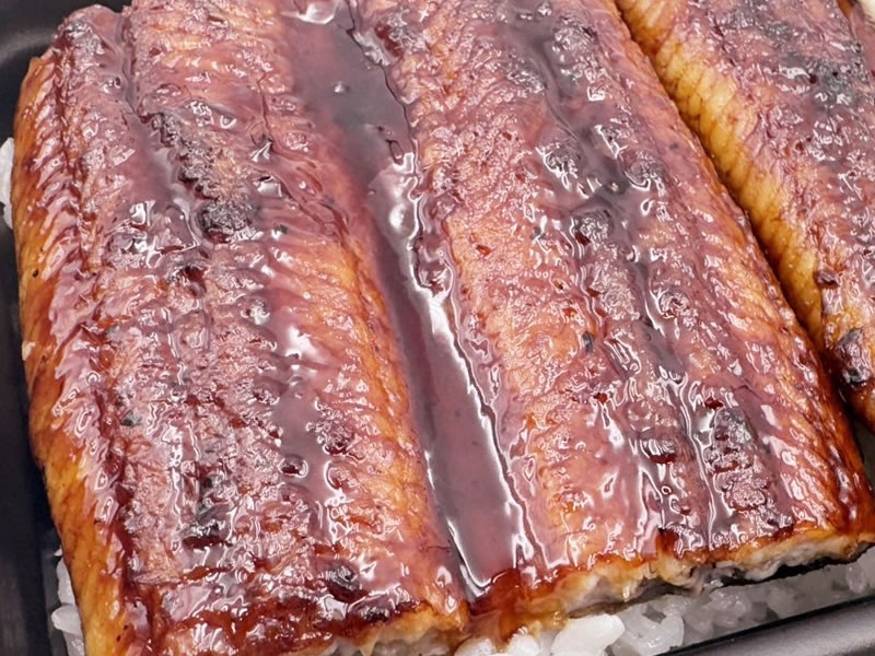 魚ジャパンフェス in 代々木公園で買った日本橋「い和多」のうな重弁当