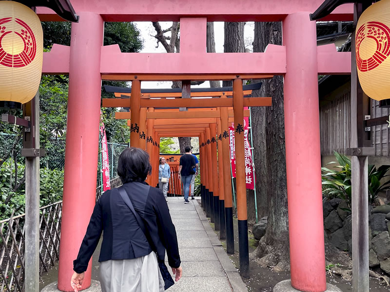 上野 花園稲荷神社の鳥居をくぐる妻