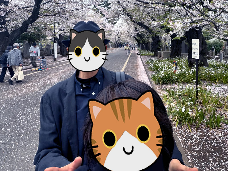 谷中霊園 さくら通りの桜並木と妻と私