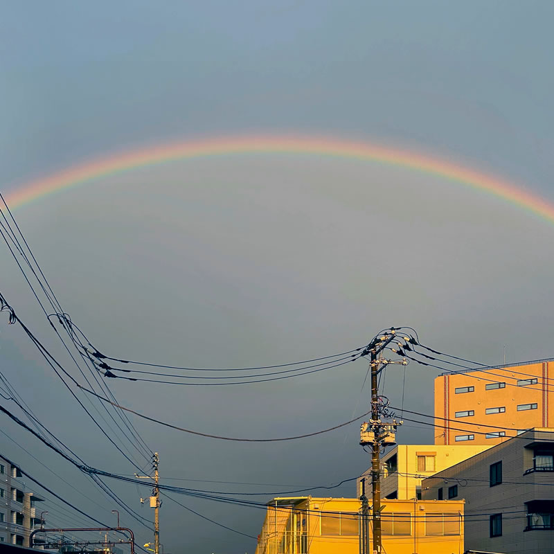 東京都世田谷区から撮影した夕方の全空の虹