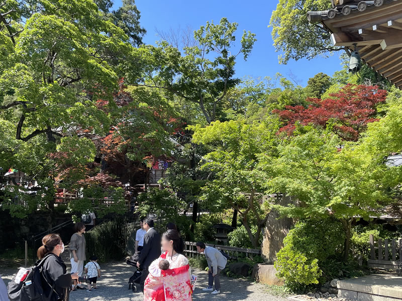 深大寺 境内の風景