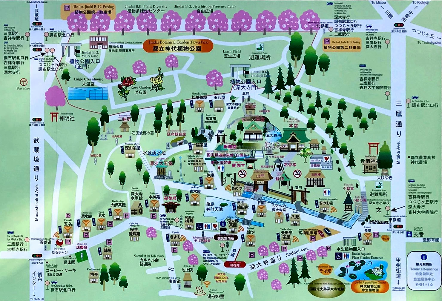 深大寺 案内図