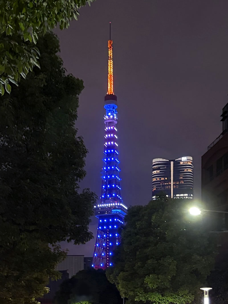 夜の港区芝公園２丁目から見た SAMURAI BLUE にライトアップされた東京タワー
