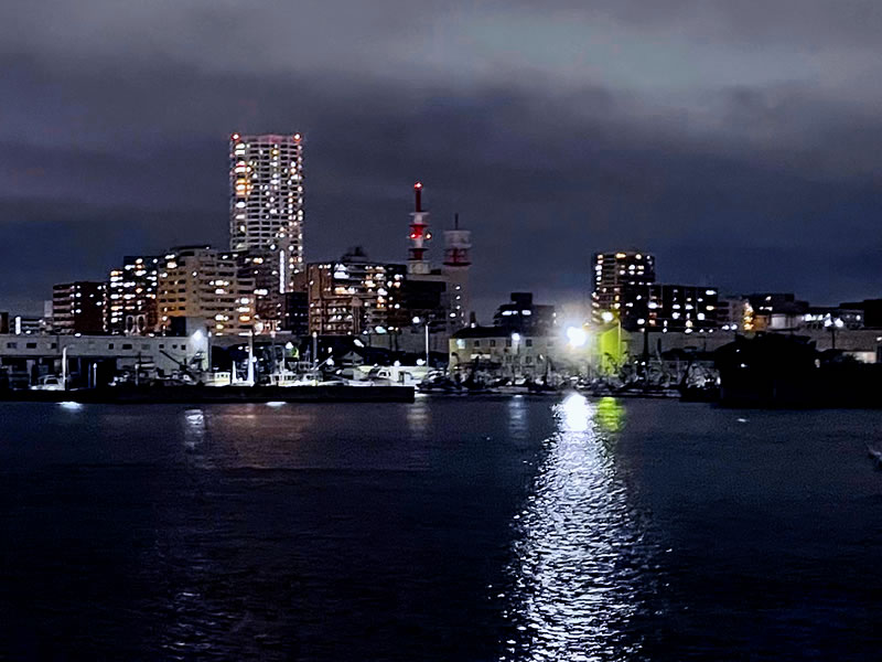 夜の船橋港親水公園から見た船橋漁港