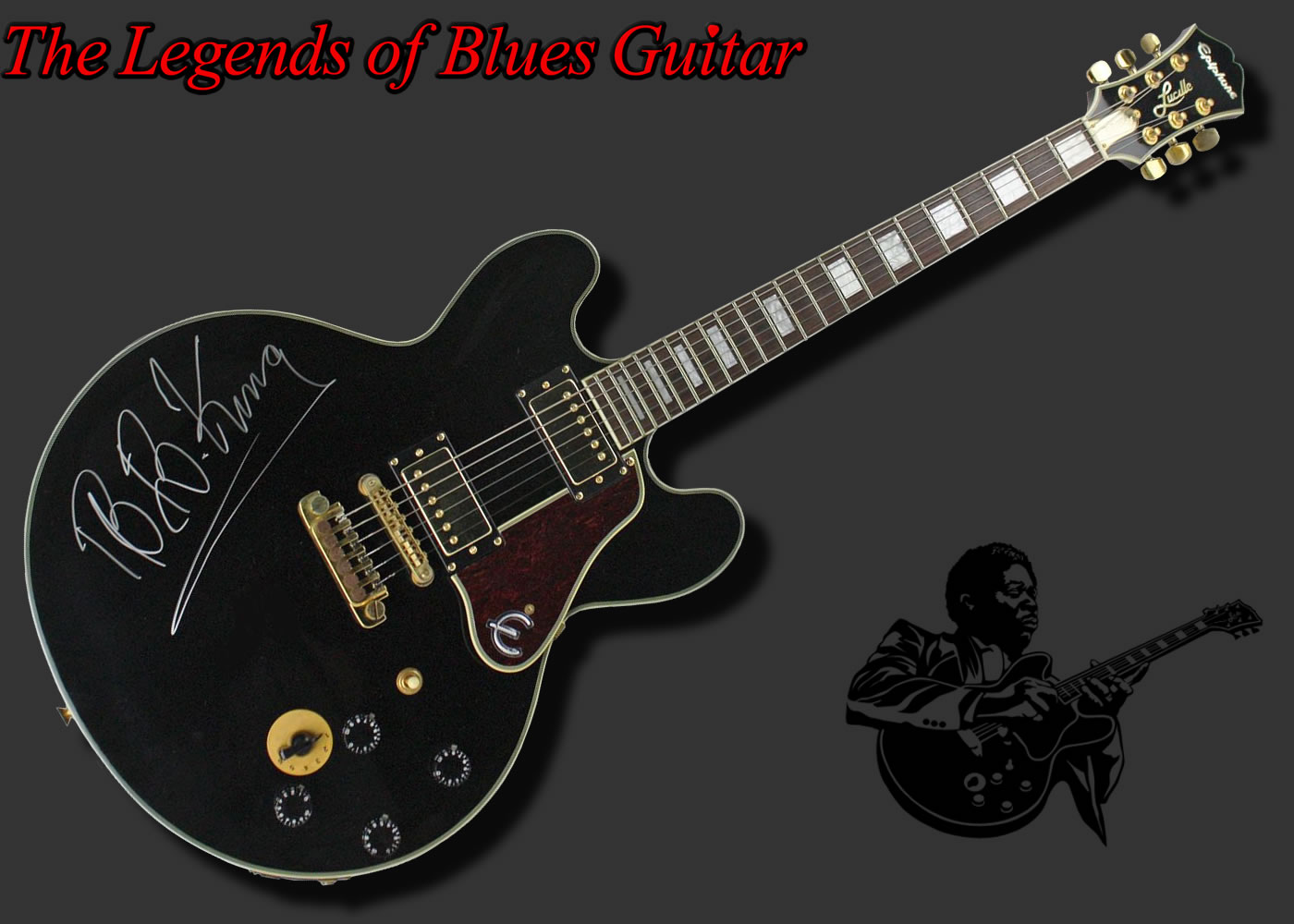 The Blues Guitars